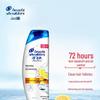 Head & Shoulders Anti-Dandruff Oil Control Shampoo