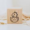 Personalized Children's Money Box Wooden Cute Dinosaur Piggy Bank with Name Baptism Gift New Baby Gifts Wooden Money Box