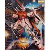 MG 1100 MBF-02 Strike Rouge (Mobile Suit Gundam SEED)