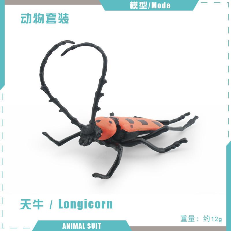 Realistic Pvc Insect Model Set Including Rhinoceros Beetle And Dragonfly For Decoration
