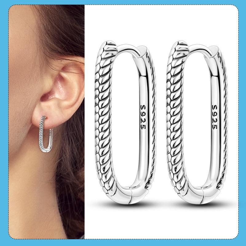 New S925 Silver Double Hoop Earrings Sparkling Pave Stud Earring Gift For Women Engagement Jewelry Anniversary