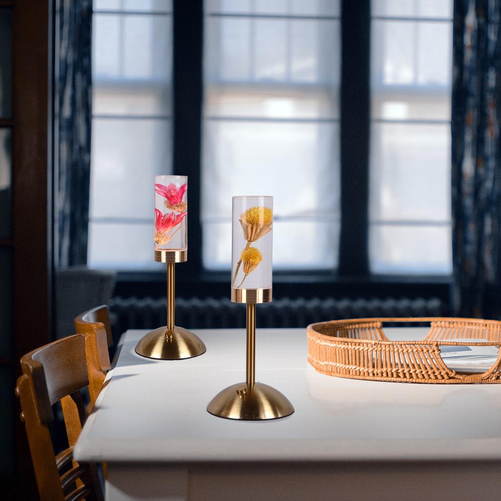 Aeon Flower Акриловая настольная лампа, ночник для спальни, декоративный орнамент, сенсорный выключатель + USB