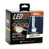 Spherelight SLGD2S060 6000K LED Headlight D2S
