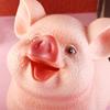 Украшение для дома Детские игрушки Подарок на день рождения Копилка Статуэтки свиньи Копилка Ящик для хранения монет