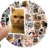 50 шт милые наклейки с котами виниловые водонепроницаемые забавные наклейки с котами для бутылки с водой ноутбука скейтборда альбома для багажа детей игрушек