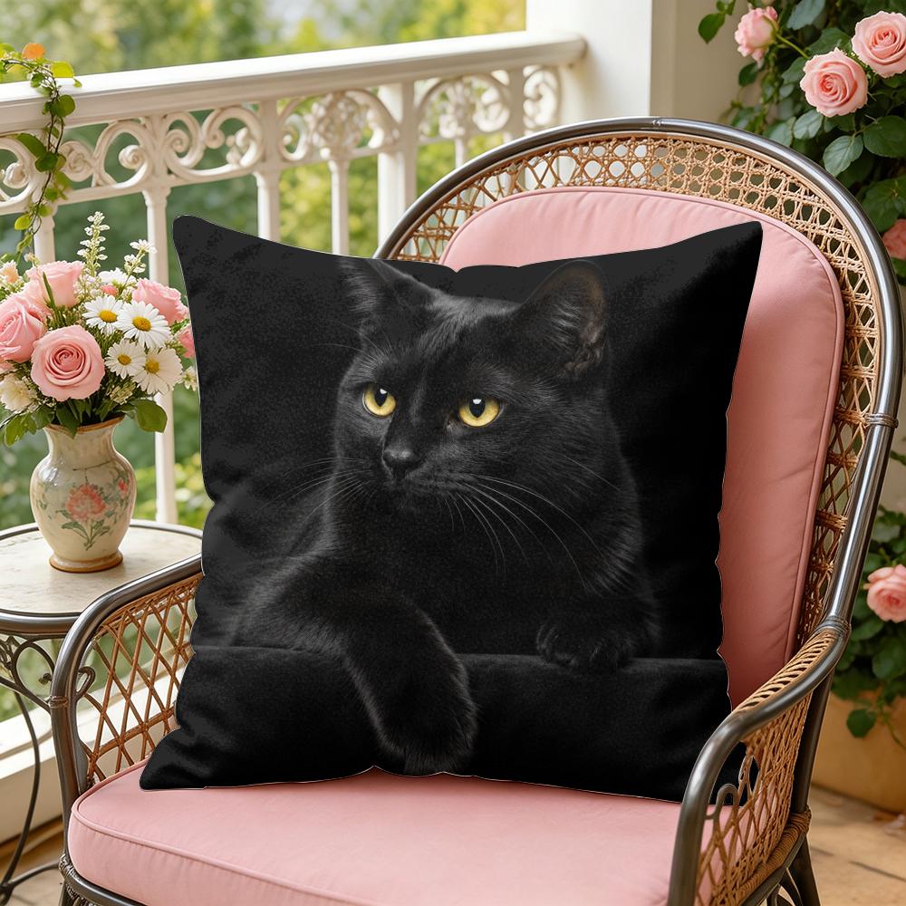 Black Cat Printed Cushion Cover Soft Plush Throw Pillow Cover DoubleSided Decorative Cushion Case Sofa Bedroom Home Decor