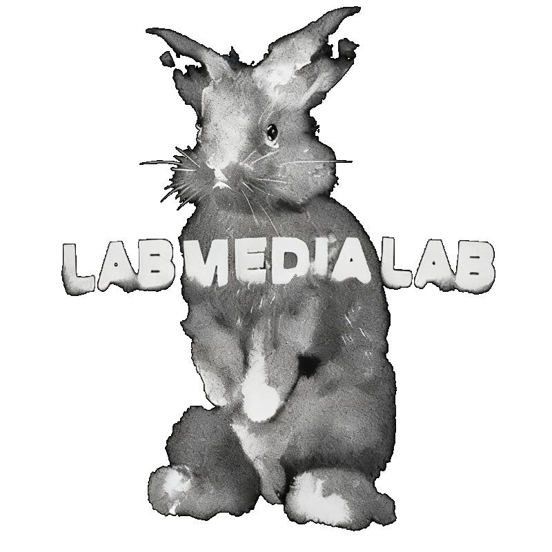 Футболка оверсайз с принтом черного кролика и надписью Lab Media Lab, повседневная уличная одежда для женщин