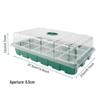 Thickened 6/12-Hole Seedling Tray with Rotating Switch & Transparent Lid for Heat and Moisture Retention