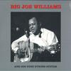 LP Record BIG JOE WILLIAMS - Big Joe Williams And His Nine Strin CATLP231 Not Now Music 2022 Europe Blues