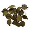 20 Pieces Round Brooch Base Blank Tray Safety Pins Bronze