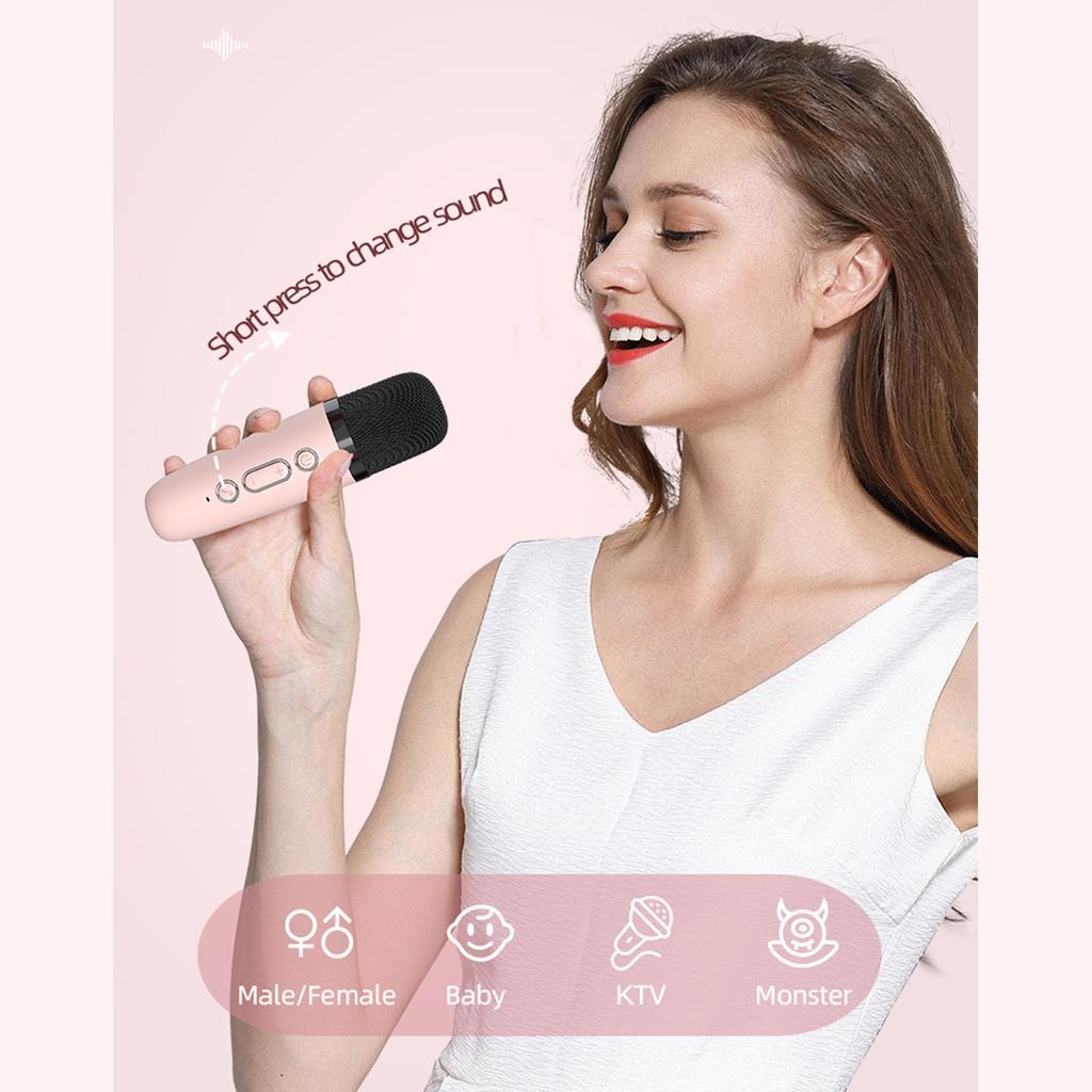 Мини-караоке-динамик BT для караоке с беспроводными микрофонами для домашней вечеринки для взрослых и детей