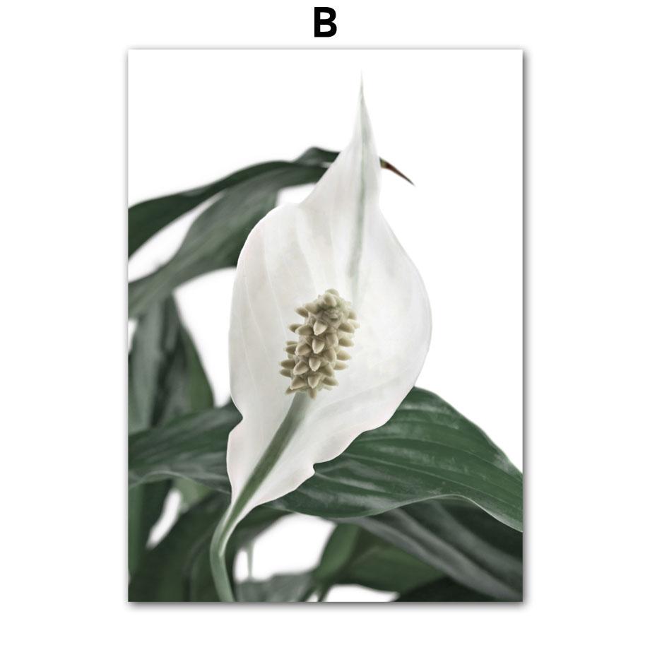 Тропические растения, пальмовые листья, белый цветок, настенная живопись на холсте, плакаты на скандинавскую тему и принты, настенные панно для декора гостиной