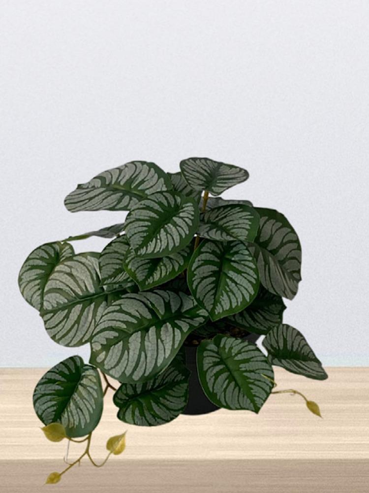 2 шт. искусственные растения лоза черепаха задний лист бегония настенный цветок ротанг зеленая трава в горшке домашний балкон садовый декор