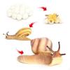 Пластиковые модели жизненного цикла Модель Детские игрушки