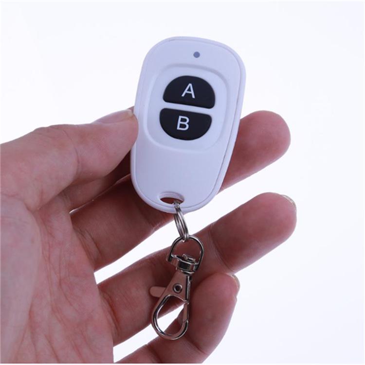 220V Smart RF Wireless Switch & White Egg 2-Key Remote Control