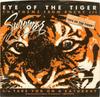 7-дюймовая пластинка SURVIVOR Eye Of The Tiger ZS502912 Scotti Bros. Re 1982 US Рок Б/У