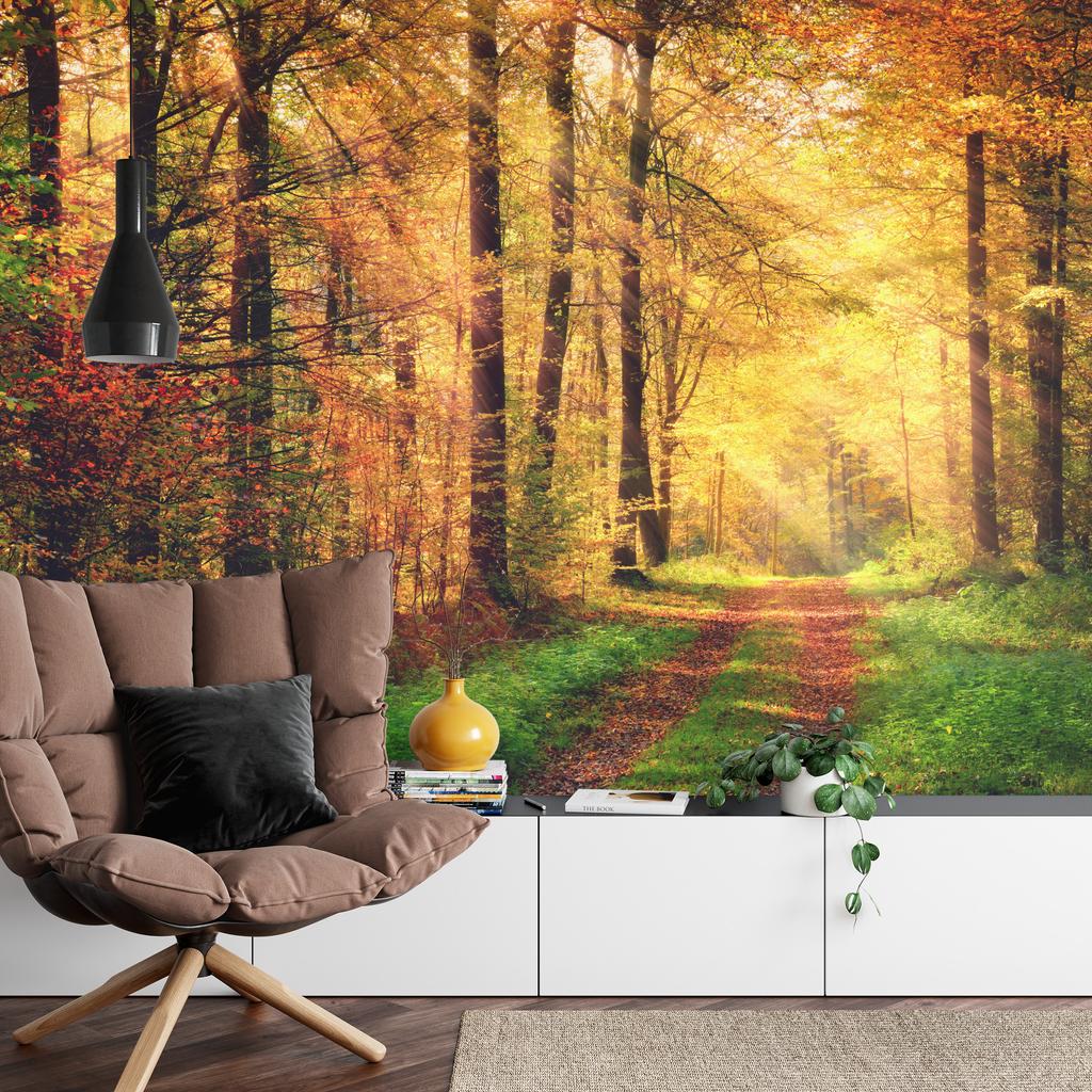 Photomural Forest Autumn Colors Self-Adhesive Mural 270x180