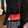 Niche Design Bag Women's 2025 New Fashion Summer Shoulder Armpit Bag Casual Pillow Bag