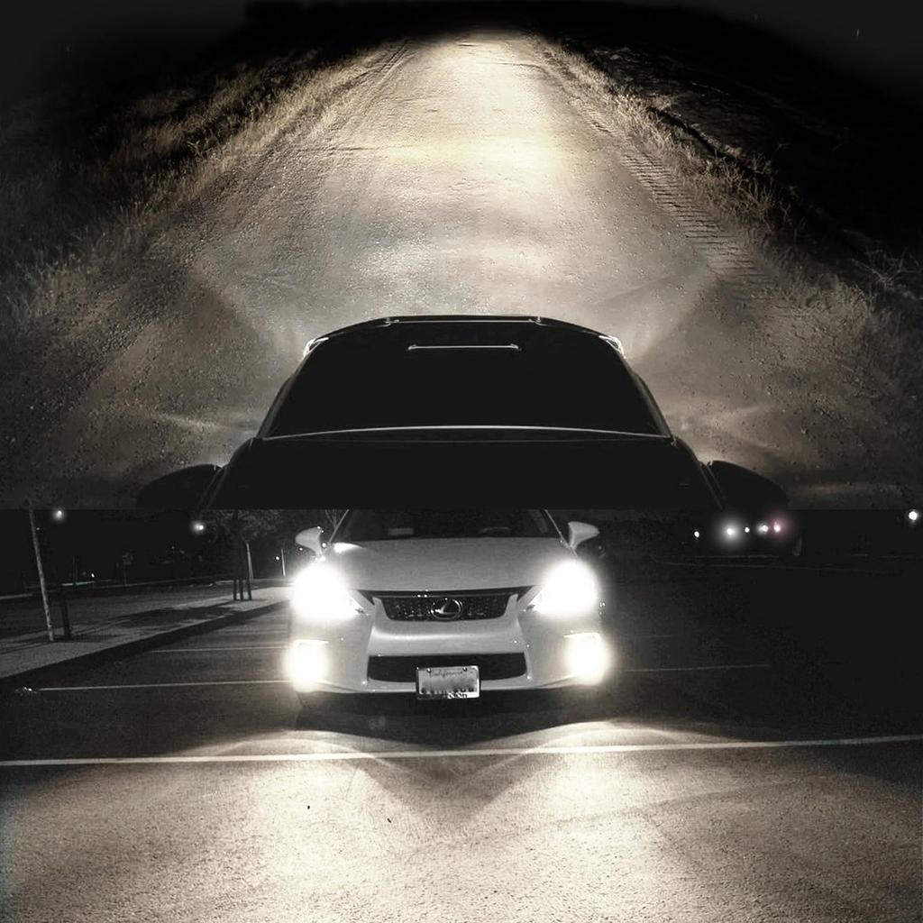 H11 Halogen Headlight Bulb/Fog Light 12V 55W White 5000K High/Low Beam 64211 12362 Car Light Bulb Automotive Headlamp Super Bright