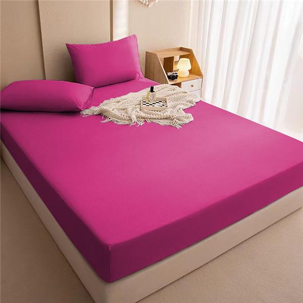 Waterproof Fitted Sheet Breathable Anti-Bacteria Solid Color Modern Mattress Cover Urine Double Bedspread Sheets Bed Set