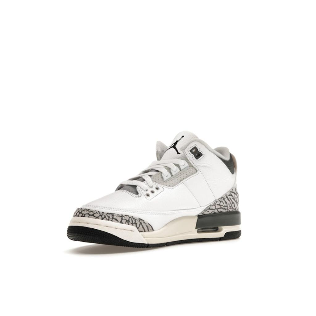 Air Jordan 3 Retro GS Hide N Sneak Kids Sneakers White Black Iron DX6665-100