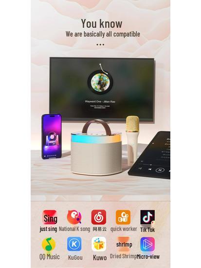 Портативная Bluetooth-колонка KTV Y27 с ручным микрофоном для детей