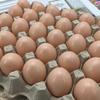 Healifty 20 шт. Белые пустые искусственные яйца для DIY пасхальных украшений, раскрашивания и реалистичных яичных поделок, домашнего декора, имитации яиц, украшений, сувениров для вечеринок