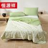 Hengyuanxiang Antibacterial Summer Quilt - Strolling Time Series