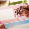 12 School Adhesive Labels - Rectangle - Cat Pictures
