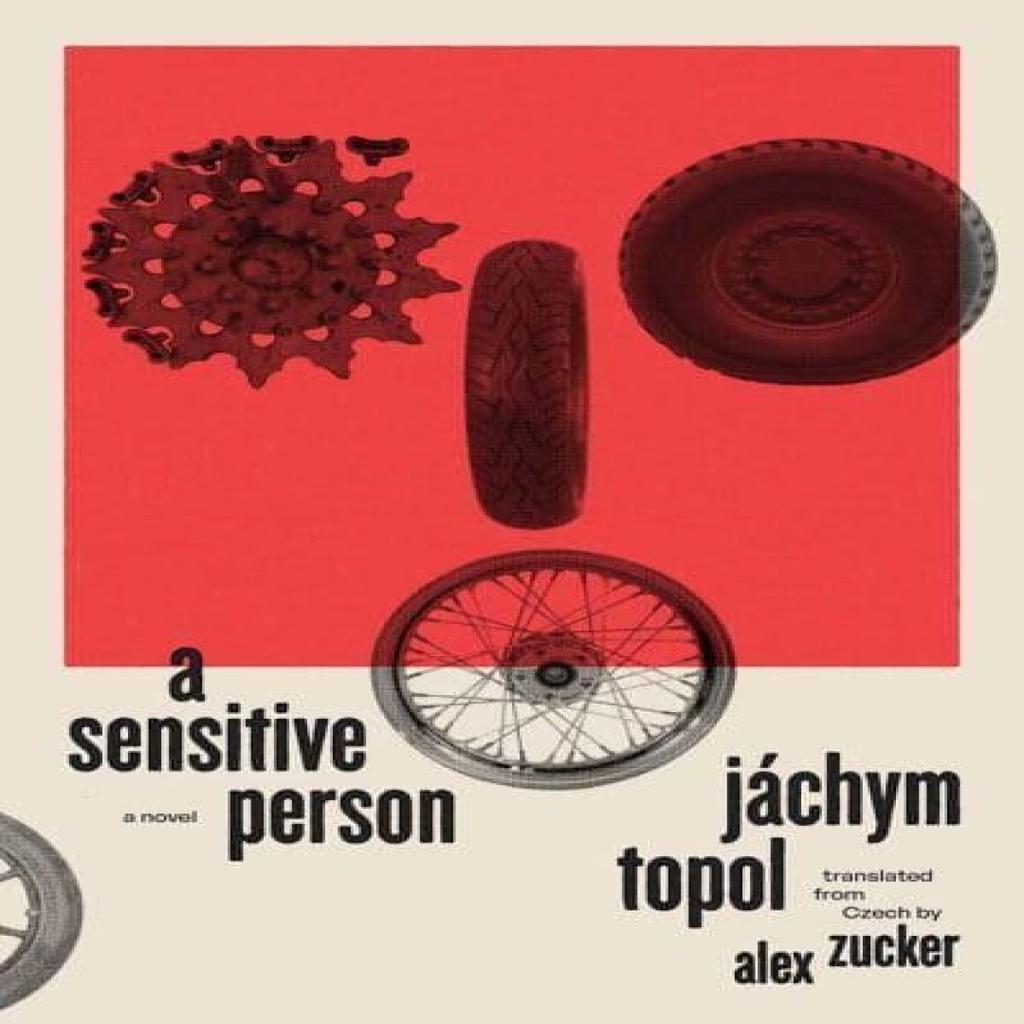 A Sensitive Person by Jachym Topol Paperback Book 9780300247220
