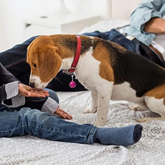 Колокольчики для питомцев Яркий цвет Гладкая поверхность Дизайн с застежкой-лобстером Высокая прочность Легко надевать Наряд Металлические аксессуары для ошейника кошки собаки Звенящие