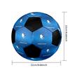 SIZE 5 Erzurumspor FK Soccer Ball Colorful All Ages Machine Stitched PVC Competition Ready Durable High-Bounce