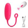 Vibrating Egg Women Vagina Vibrator Remote Control Wearable Panties Vibrator Female Masturbation Interaction Sex Toy for Couples