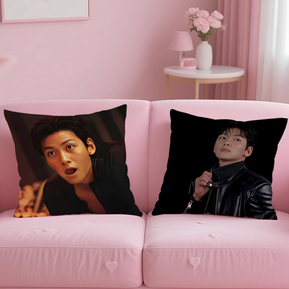 Популярная наволочка Jji Chang Wookable Cushion Cover Мягкая Легко стирающаяся Универсальная для дивана кровати путешествий и офиса