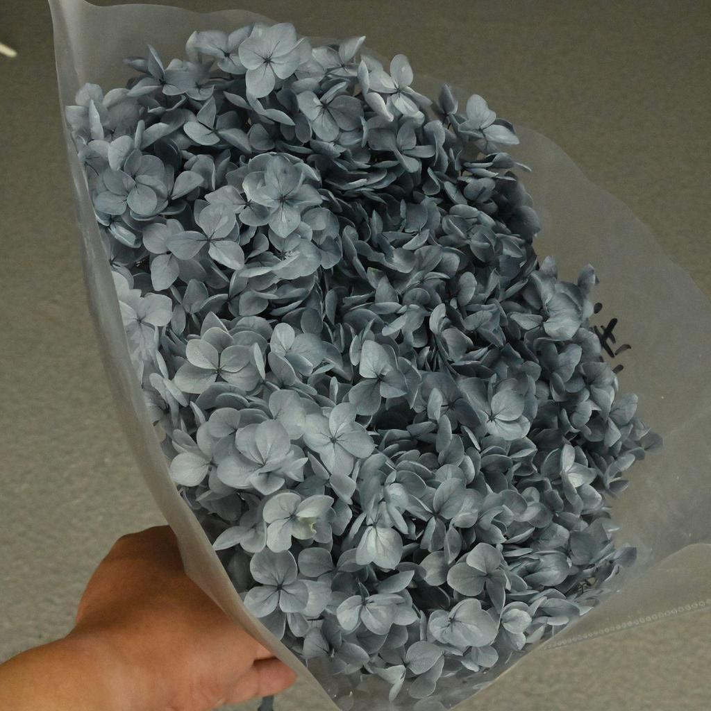 Phantom Flower: Single 20CM Preserved Hydrangea, Handmade Dried Bouquet for Decoration