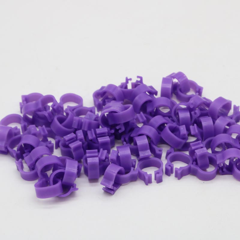 400 Pcs 8mm Bird Foot Clip Ring Pigeon Training Tools 10 Colors Bird Parrot Feeding Identification Foot Ring Animal Supplies