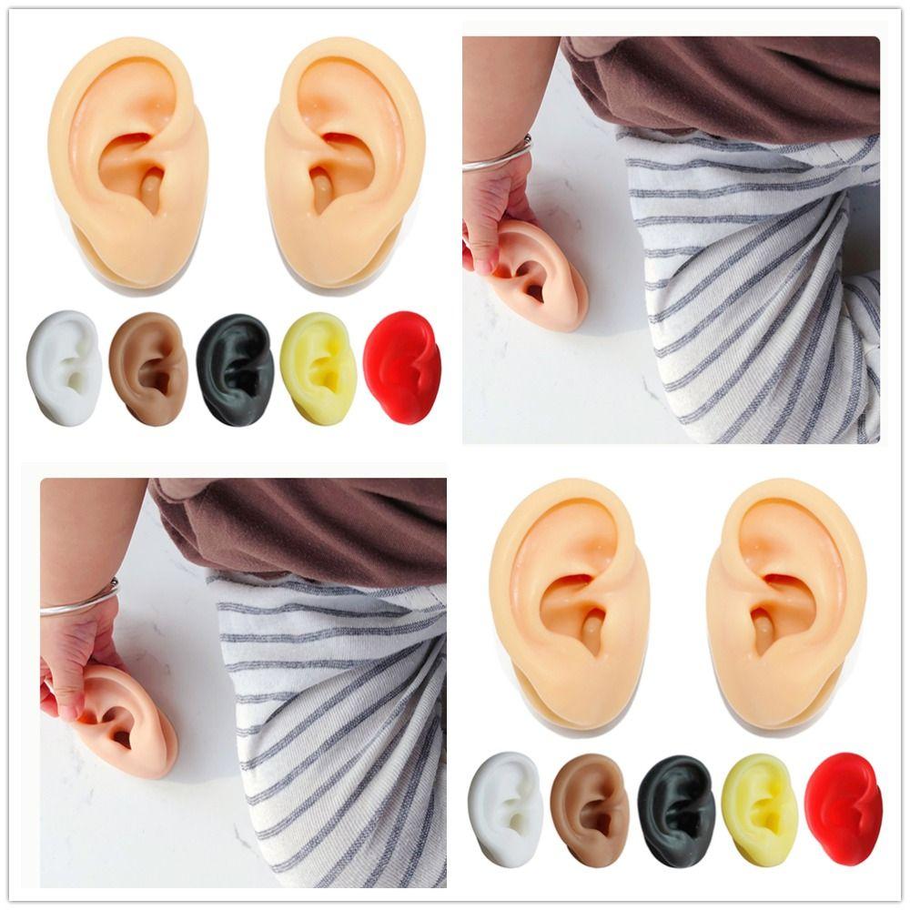 Body Jewelry Piercing Model Reuseable Earrings Display Stand New Ear Model Medical Teaching Props