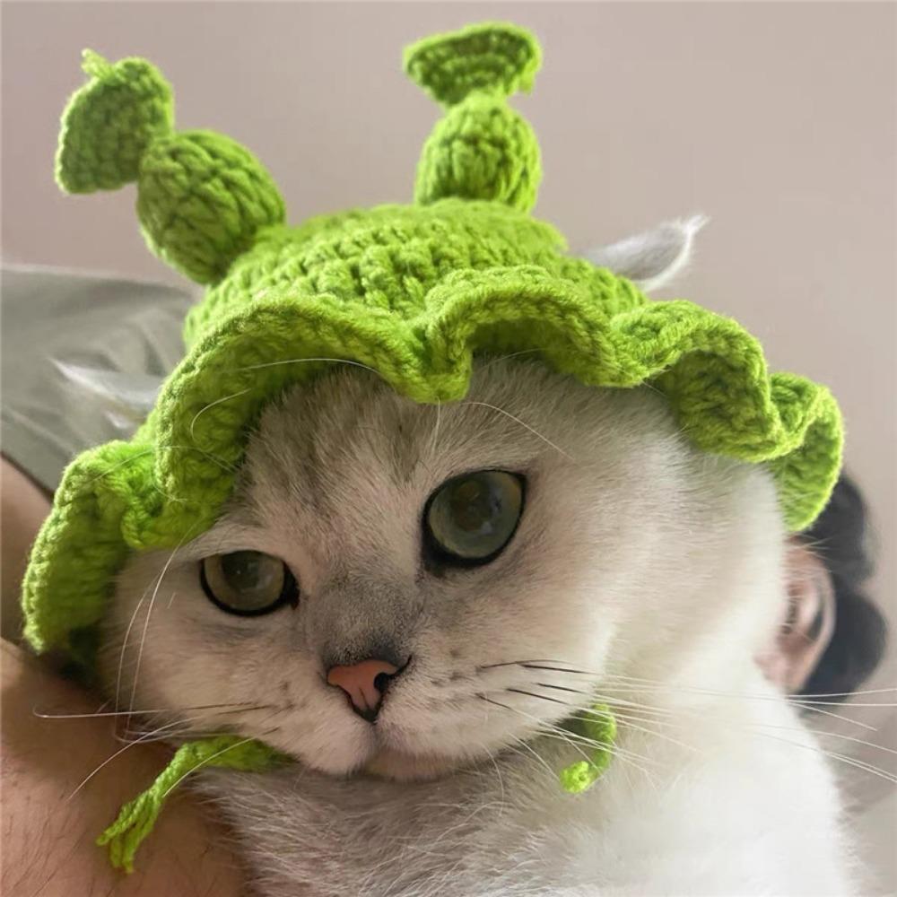 Cute Winter Warm Handmade Elastic Cat Hat Frog Hat for Party Photo Props Pet Cap