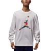 As M J Flt Mtnside Gfx Ls Crew Neck Pullover Simple Long Sleeve Sweatshirt Men Sweatshirt IM6512-100