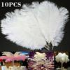 Wedding Accessories Party Natural Colorful Home Decor Ostrich Feathers Clothing Decoration Plumas