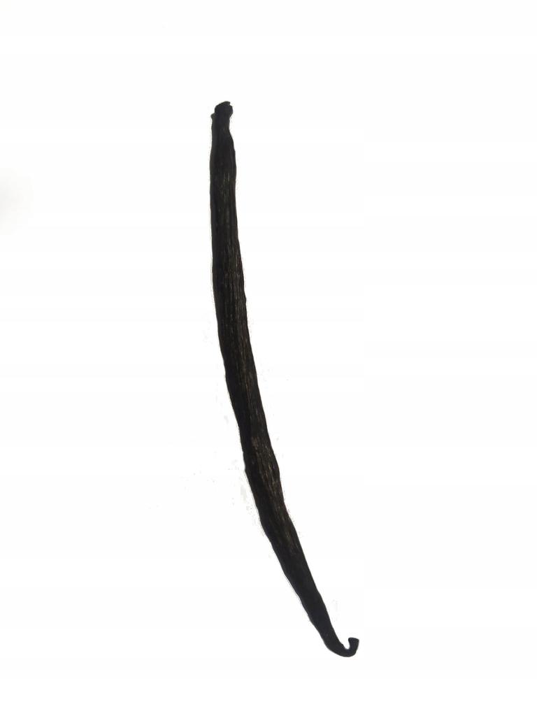 Organic Vanilla Sticks 6 Pieces Premium 15 + Thick