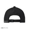 Daiwa GORE-TEX Cap DC-1025 Gray Free Size
