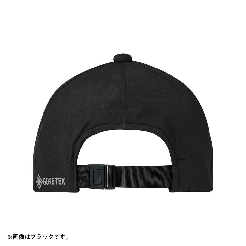 Daiwa GORE-TEX Cap DC-1025 Gray Free Size