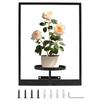 Stylish Metal Plant Wall Frame Black Wall Mounted Succulent  Hanger  For Home Decor