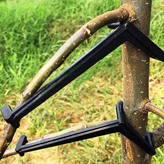 10Pcs Fall-resistant Branch Fixator Anti-sagging Universal Apple Tree