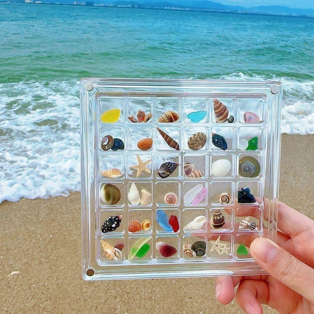 Acrylic Seashell Storage Box Multifunctional Beads Collection Box  Jewelry