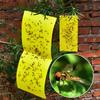 Timeless 5pcs Outdoor Yellow Sticky Glue Flying Pest Insect Papers Traps For All Your Gardening Needs