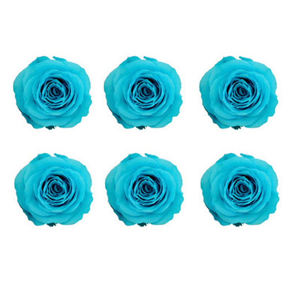 6шт/кор. 5-6см сохранившийся цветок бессмертная роза DIY Валентина свадебный праздник подарок