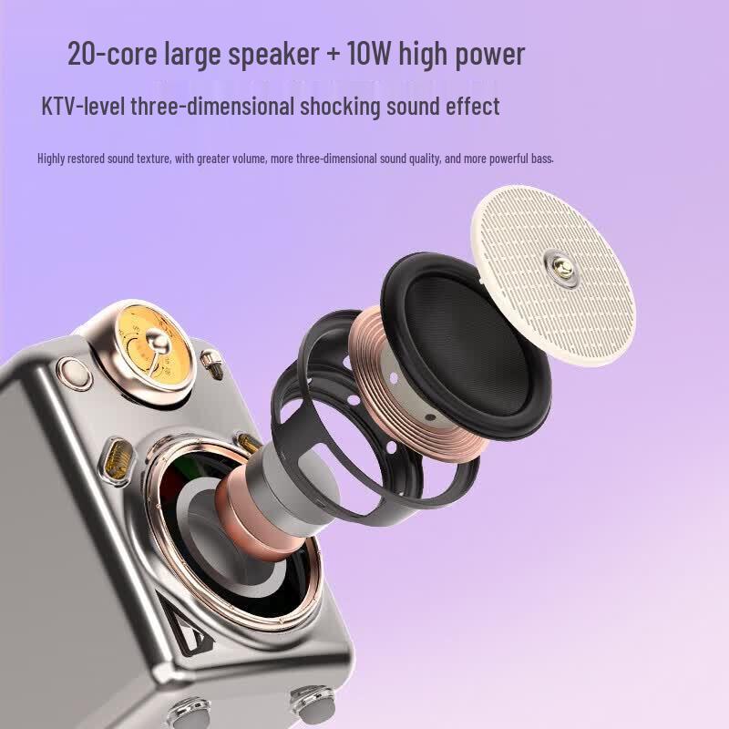 Divoom Portable K-Song Bluetooth Speaker with Microphone (CN version)