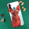 Сфинкс Сфинкс Кот для OPPO Realme 8 Pro 8i 9i GT Neo2 Master C21, чехол для OnePlus 10 9 Pro Nord2 8T 9R, чехол
